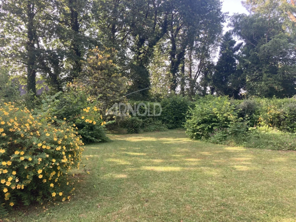 Jardin arboré d'une maison à Arradon, avec des arbres et des fleurs jaunes.