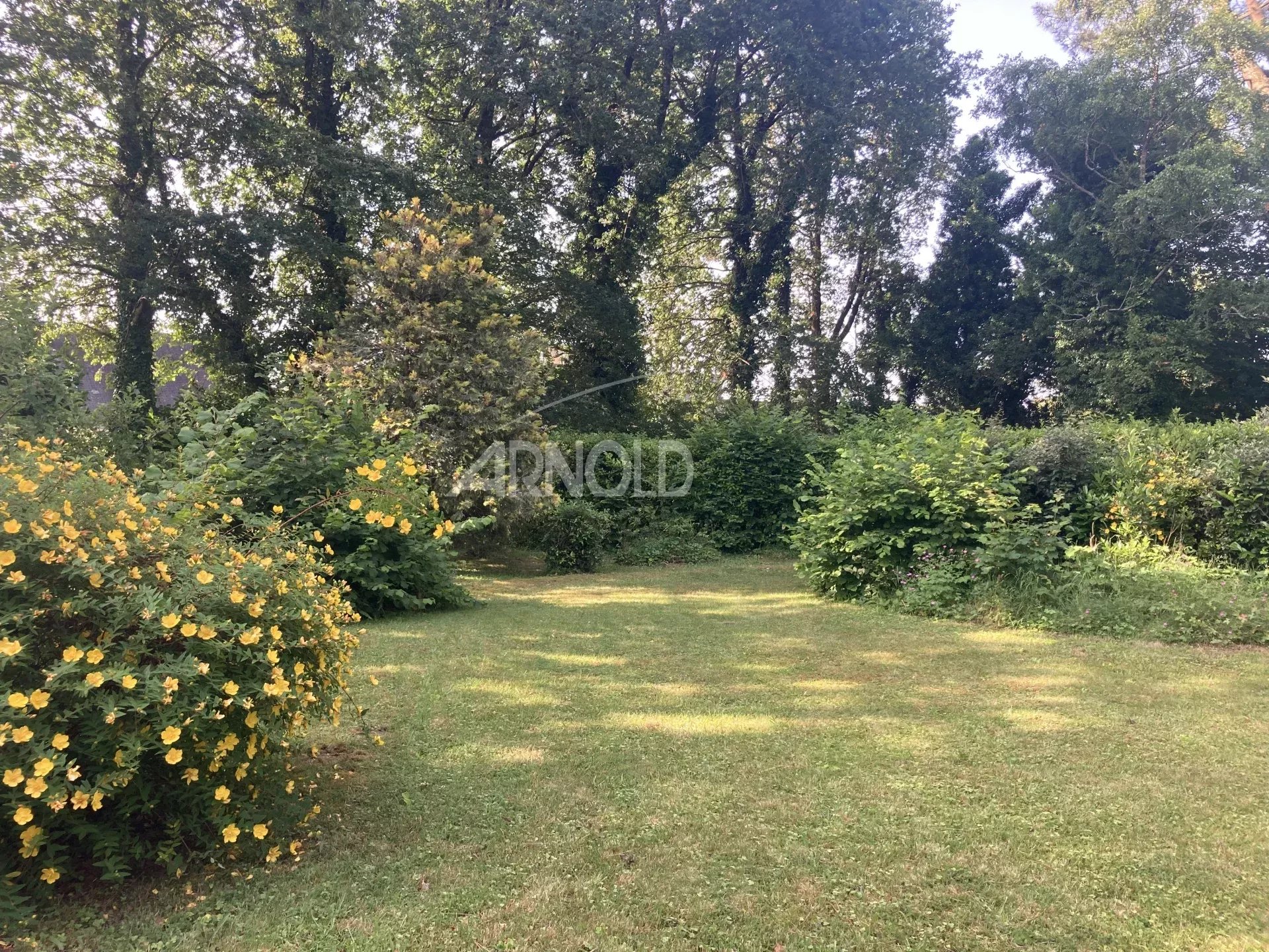 Jardin arboré d'une maison à Arradon, avec des arbres et des fleurs jaunes.