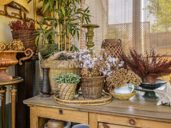 Intérieur d'une maison bourgeoise avec des éléments de décoration vintage et des plantes.