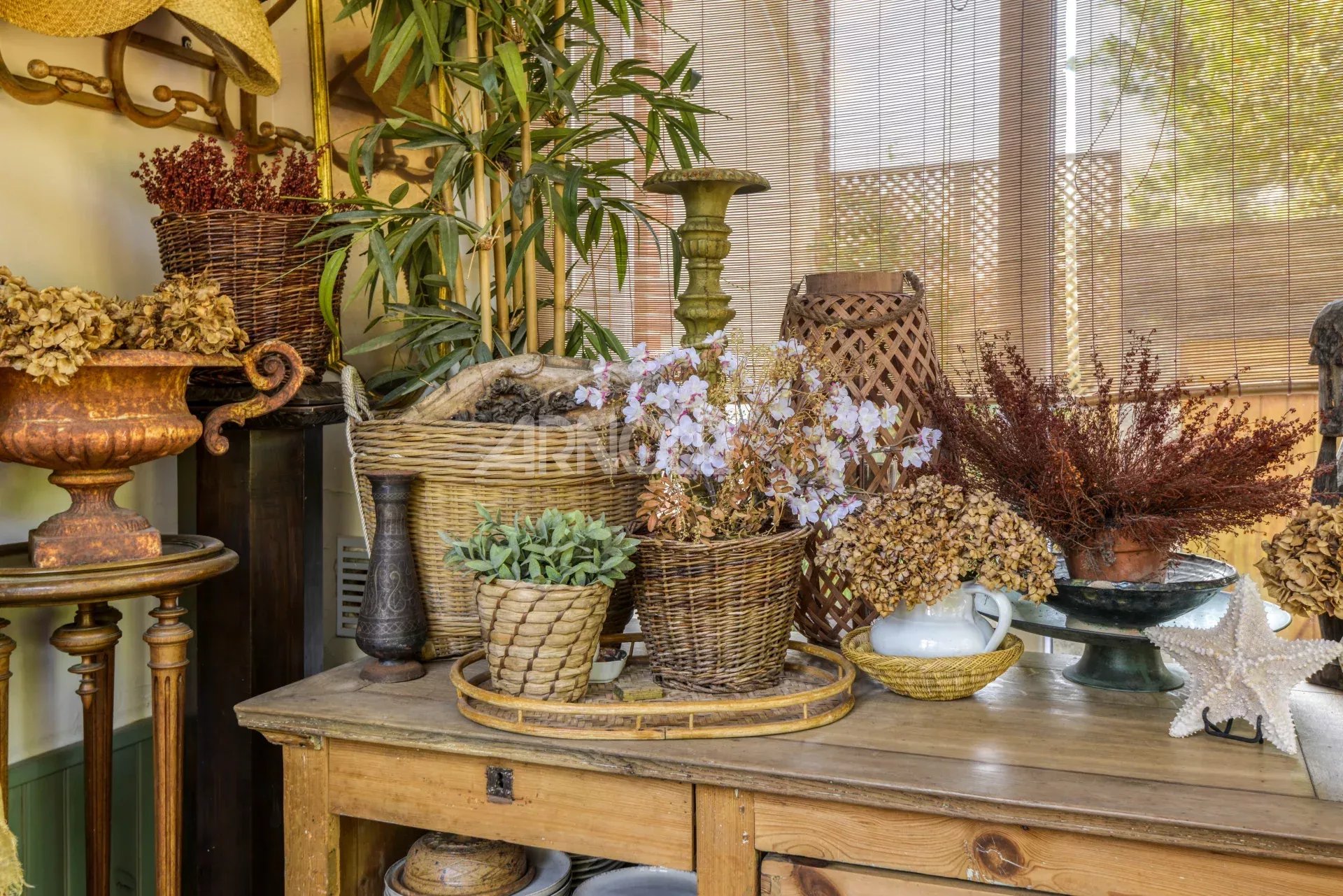 Décoration intérieure d’une maison de charme Intérieur d'une maison bourgeoise avec des éléments de décoration vintage et des plantes.