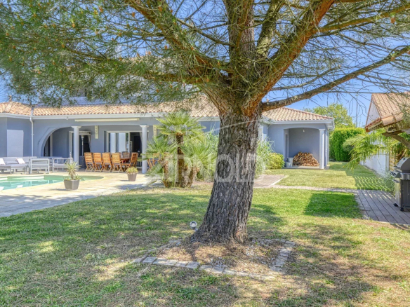 Maison contemporaine avec piscine et jardin à Les Sorinières