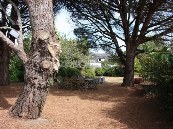 Terrain constructible avec maison de charme entourée d'arbres à Belz