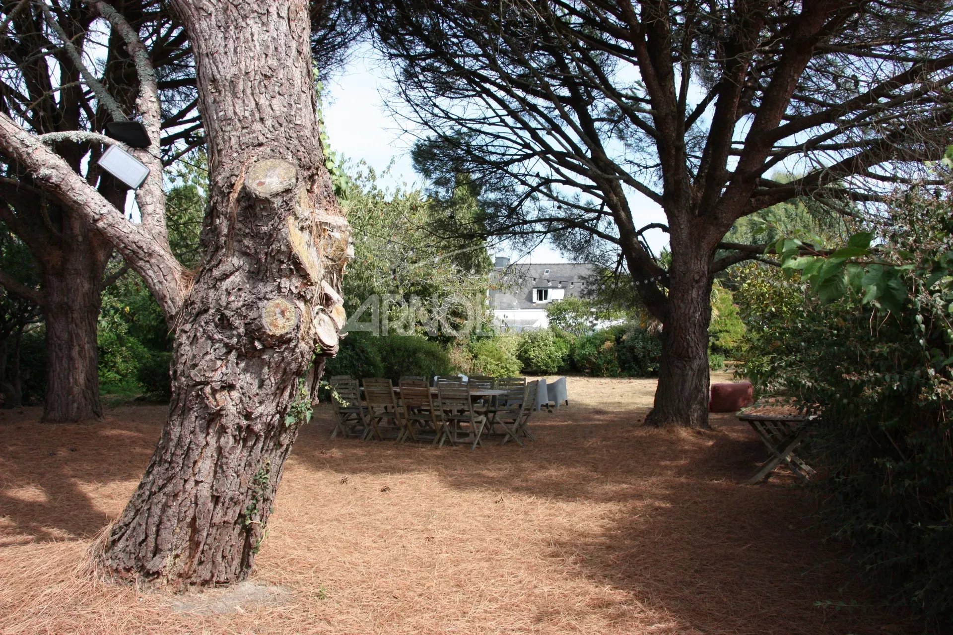 Jardin d’une maison à Belz Jardin d'une maison à Belz avec des arbres et une table en bois