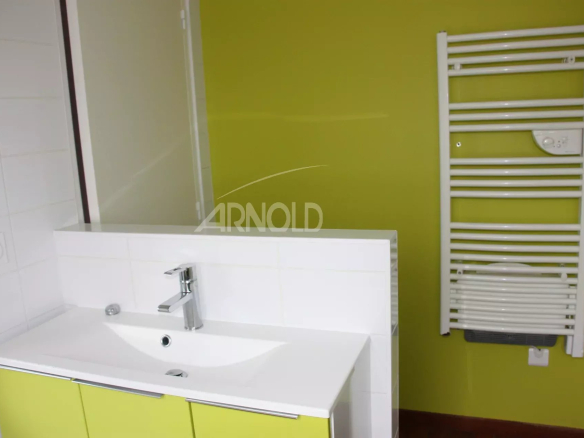 Salle de bain moderne avec meuble lavabo et radiateur, murs verts.