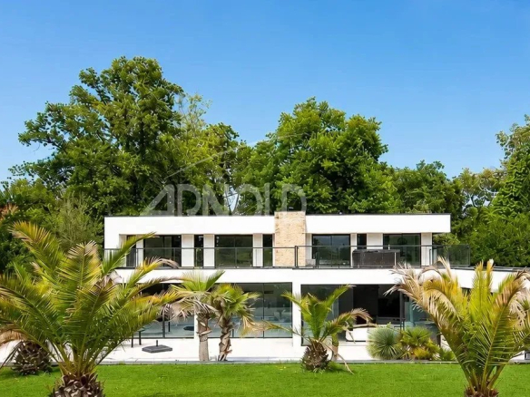 Maison contemporaine avec jardin et palmiers à Vannes, entourée d'arbres.