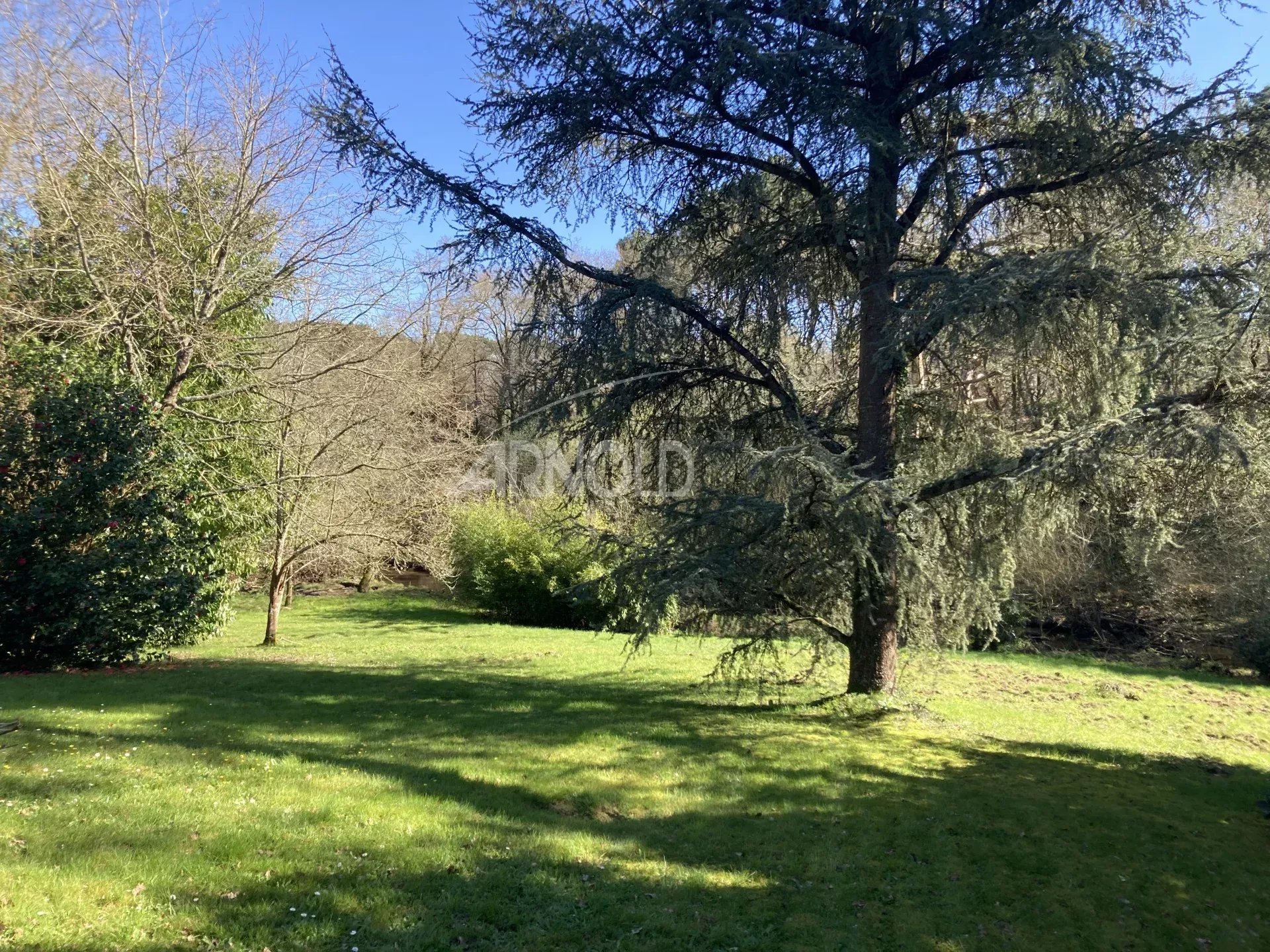 Parcelle arborée à Vannes Parcelle arborée de plus de 6 000 m² avec arbres, près d'une rivière à Vannes.