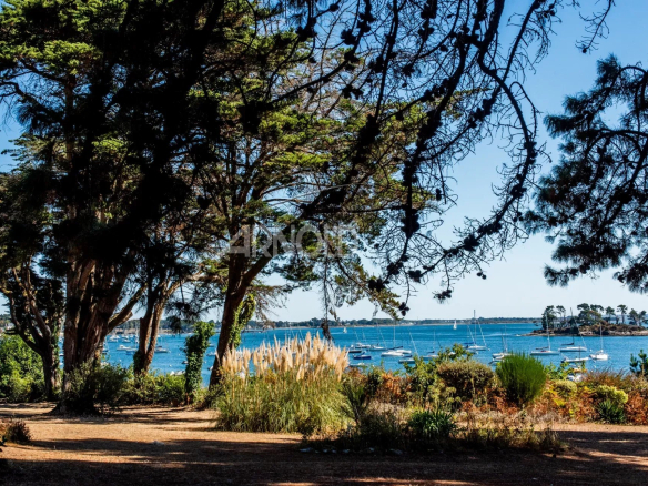 Vue panoramique sur le Golfe du Morbihan depuis une terrasse entourée d'arbres et de végétation