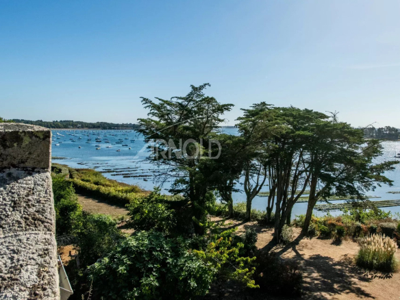 Vue panoramique sur le Golfe du Morbihan depuis une terrasse avec arbres et eau en arrière-plan.