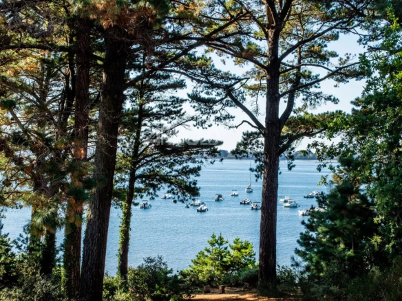 Vue panoramique sur le Golfe du Morbihan depuis une terrasse entourée d'arbres.