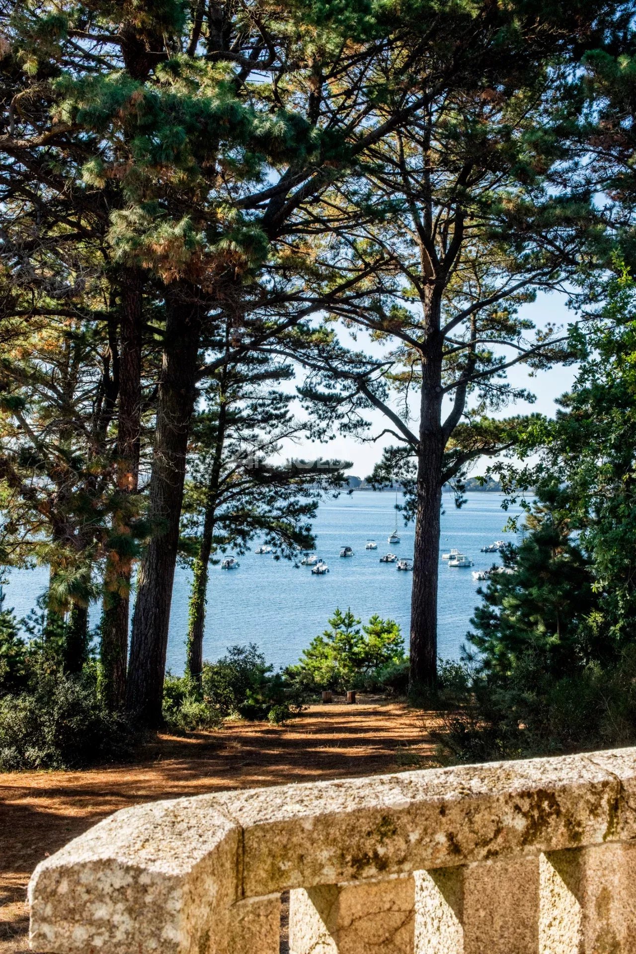Vue sur le Golfe du Morbihan Vue panoramique sur le Golfe du Morbihan depuis une terrasse entourée d'arbres.