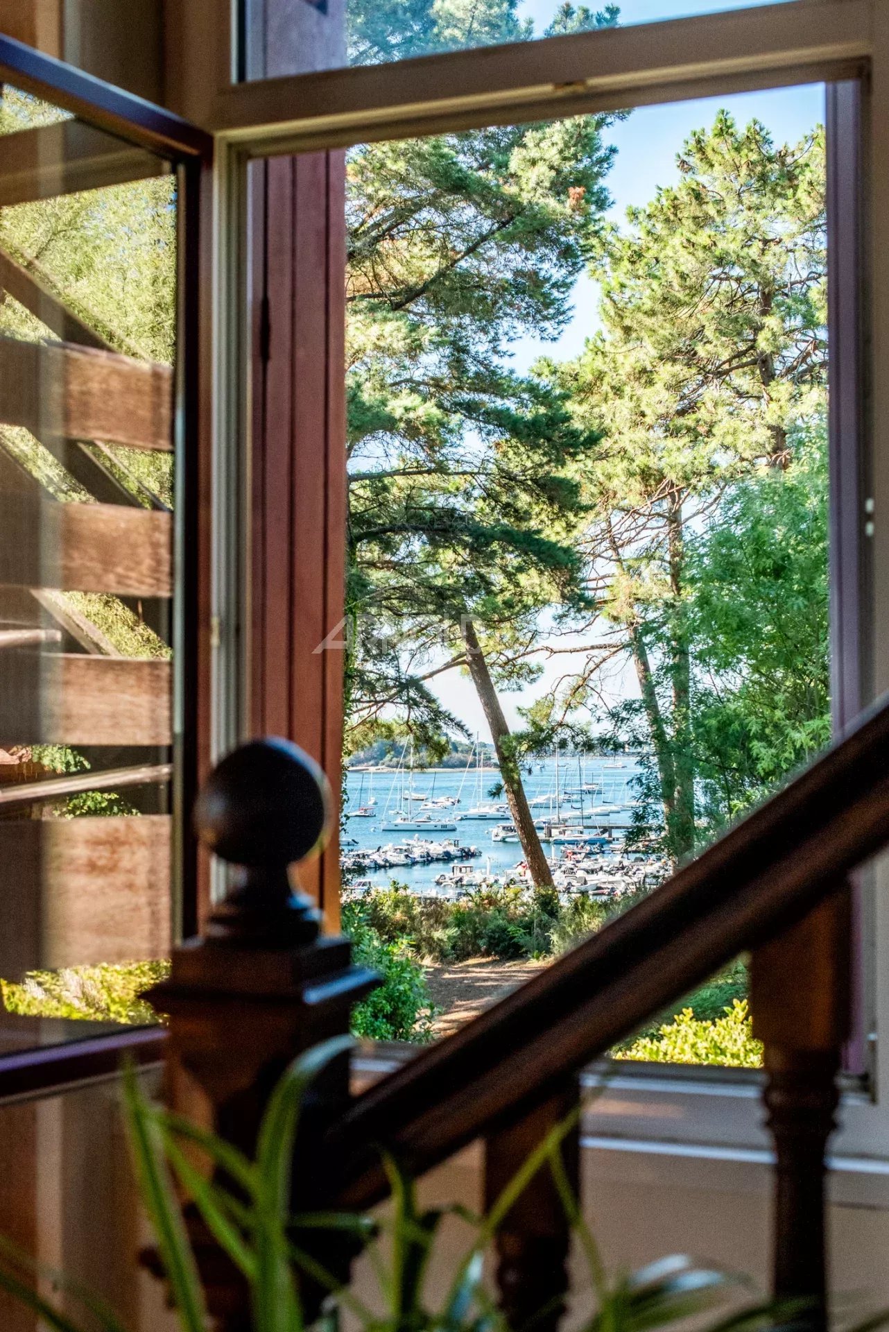 Vue panoramique sur le Golfe du Morbihan Vue depuis une fenêtre avec des arbres et le Golfe du Morbihan en arrière-plan.