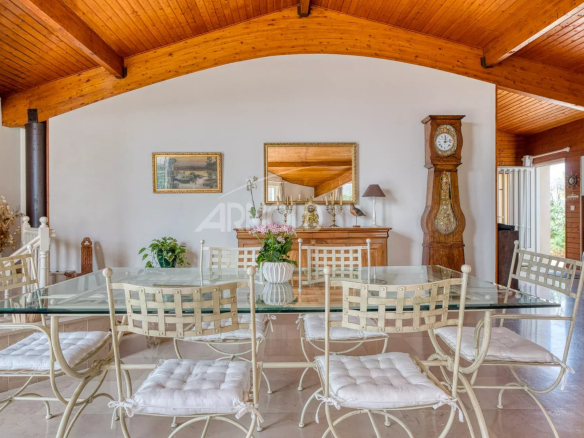 Bright dining room with glass table and white chairs, decorated with plants and art objects.