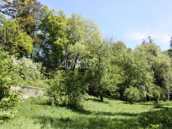 Parc verdoyant avec arbres et étang à Rochefort-en-Terre.