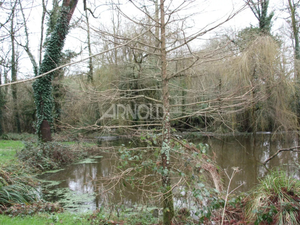 Petit étang entouré d'arbres dans un parc verdoyant à Rochefort-en-Terre.