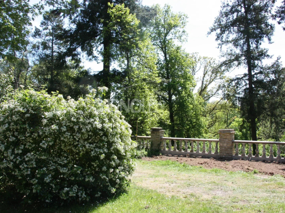 Vue d'un jardin avec des arbres et une haie fleurie à Rochefort-en-Terre.