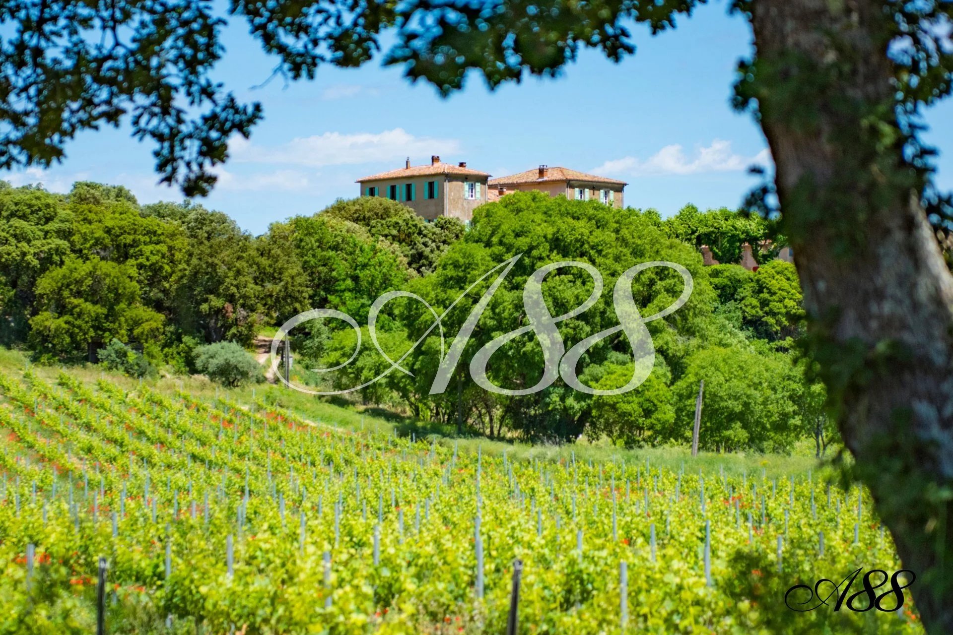 a5decbb7fb2dcdd1c5b58c6553cbec03_4a5daa75f3_1920-original