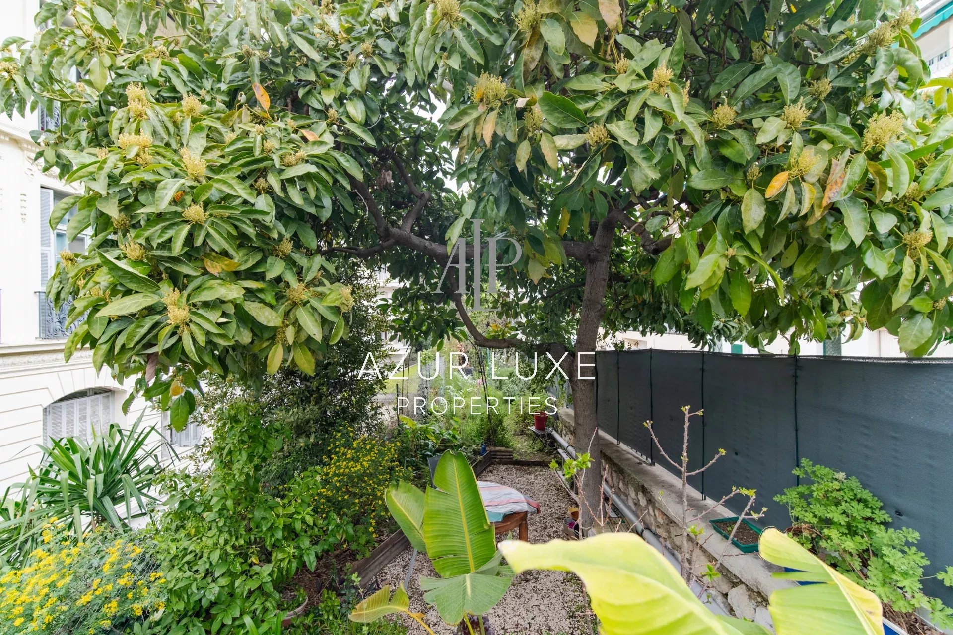 Garden of the Villa Mireille in Nice Green garden with trees and plants, relaxation area in Nice, Villa Mireille.
