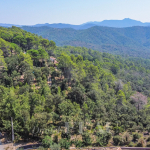 Bagnols en forêt – Terrain constructible avec une jolie vue mer