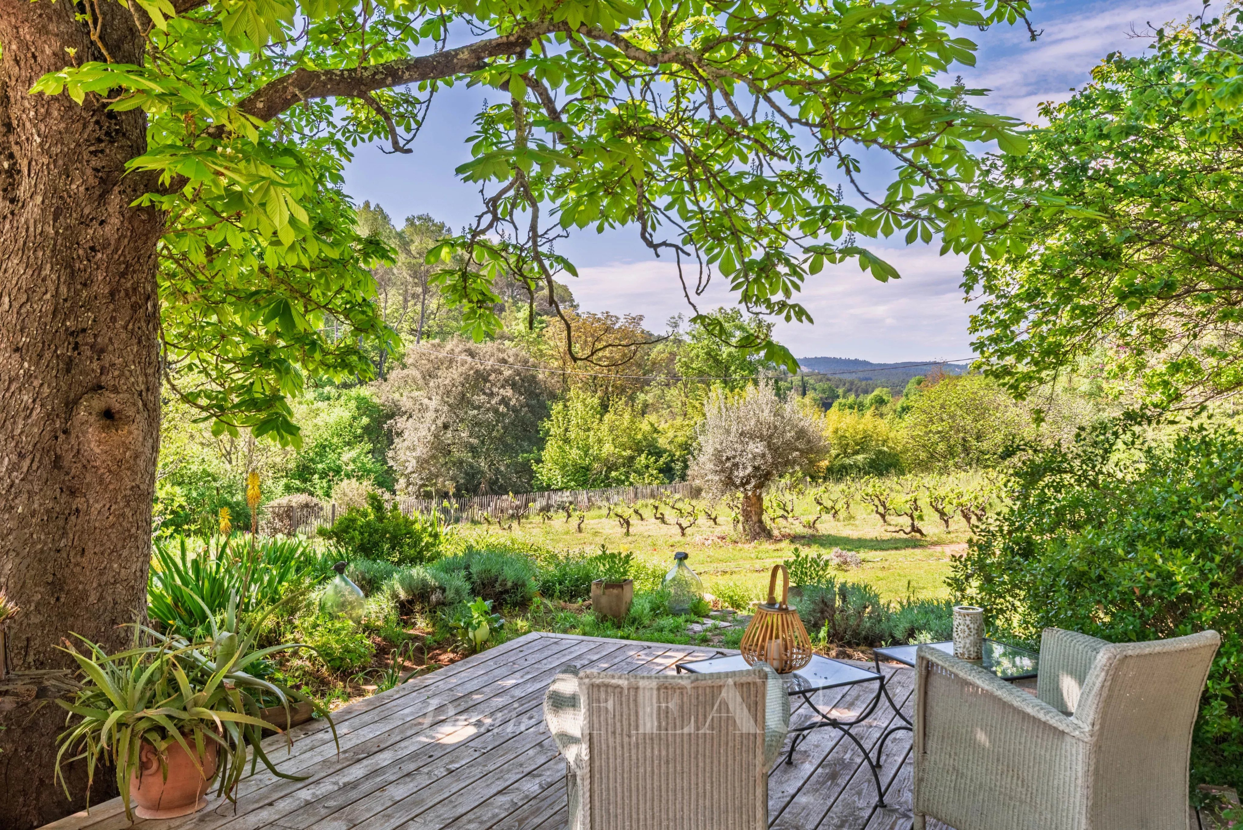 fccd509dce72487418b70e336bb5d66d_0755759151_4096-original