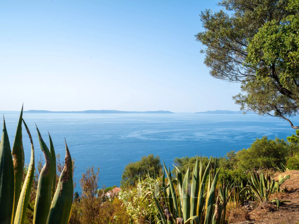 Panoramic sea view from a property in Rayol-Canadel-sur-Mer, with plants in the foreground.