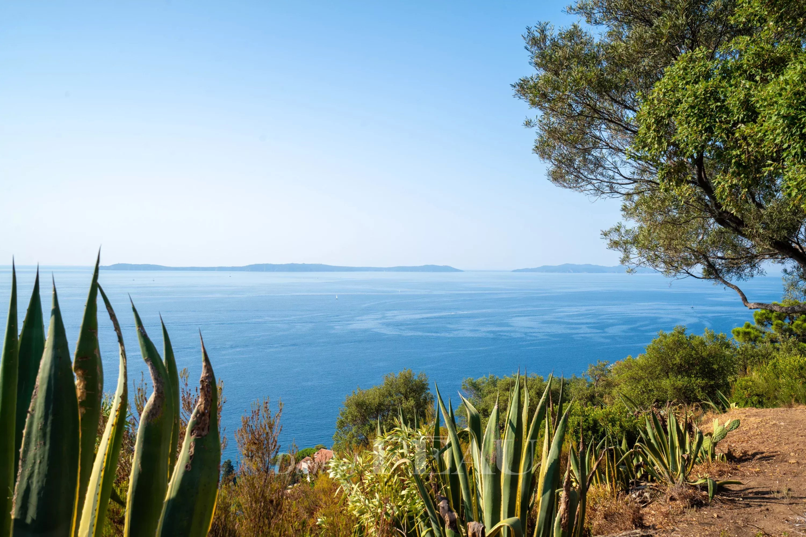 Sea view at Rayol-Canadel-sur-Mer Panoramic sea view from a property in Rayol-Canadel-sur-Mer, with plants in the foreground.