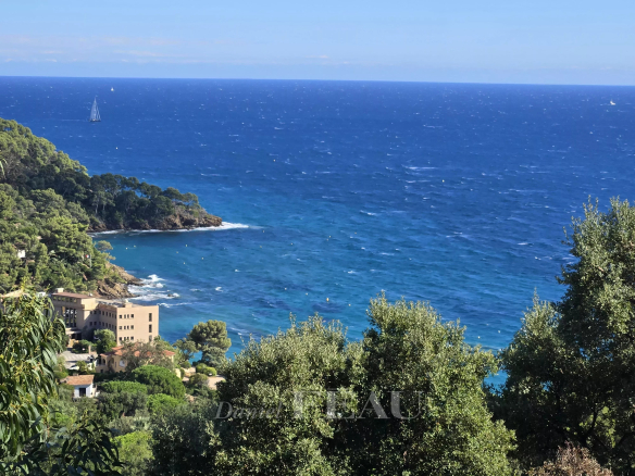 Vue panoramique sur la mer depuis une propriété à Rayol-Canadel-sur-Mer, avec des arbres au premier plan.