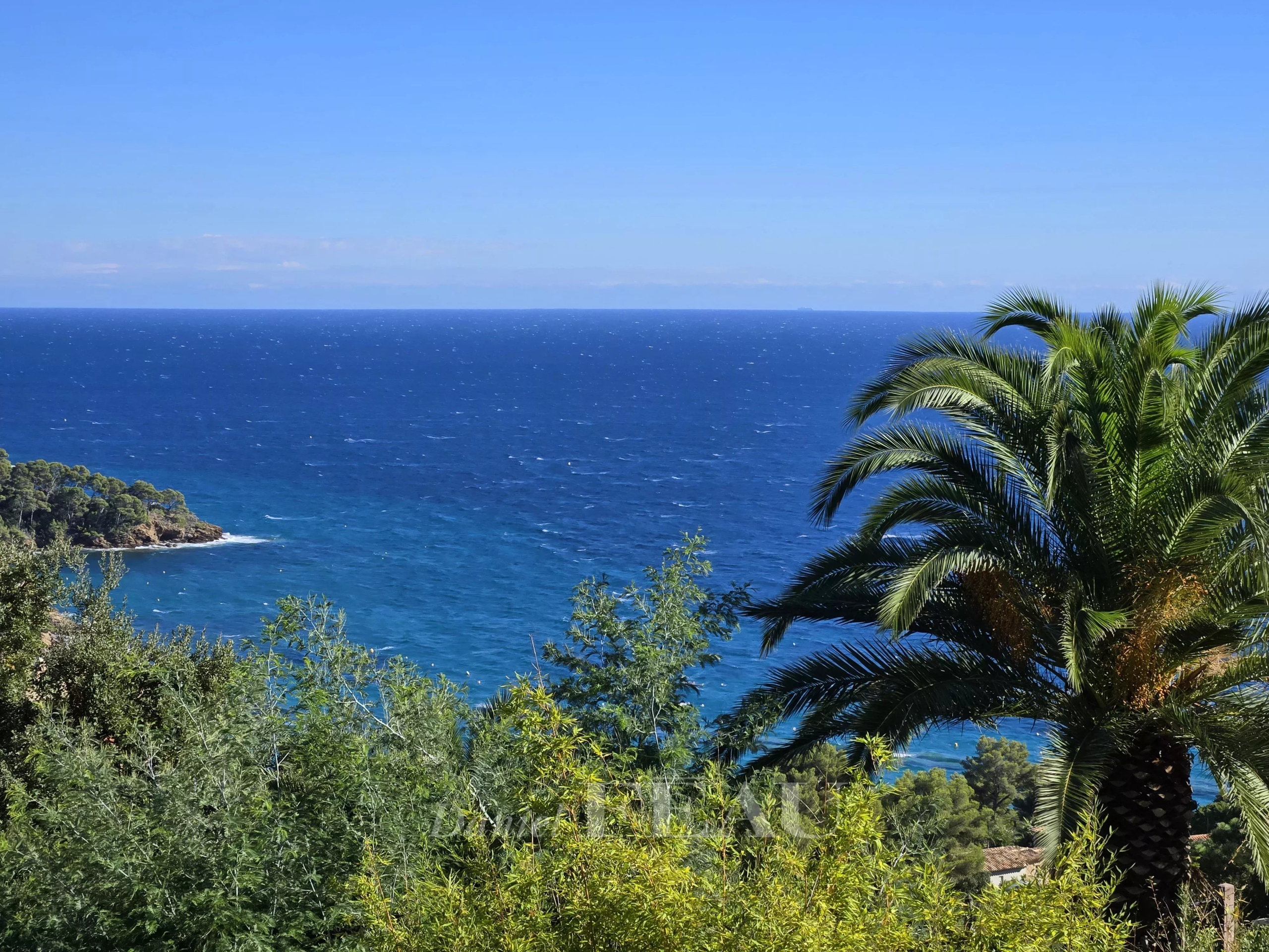 Vue panoramique sur la mer depuis une propriété avec des palmiers au premier plan.