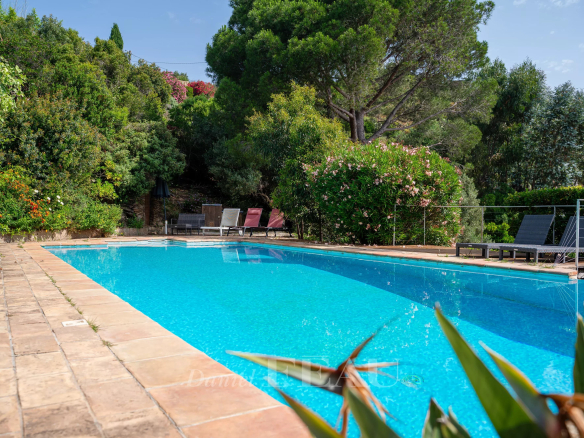 Piscine entourée de verdure dans une villa à Rayol-Canadel-sur-Mer.