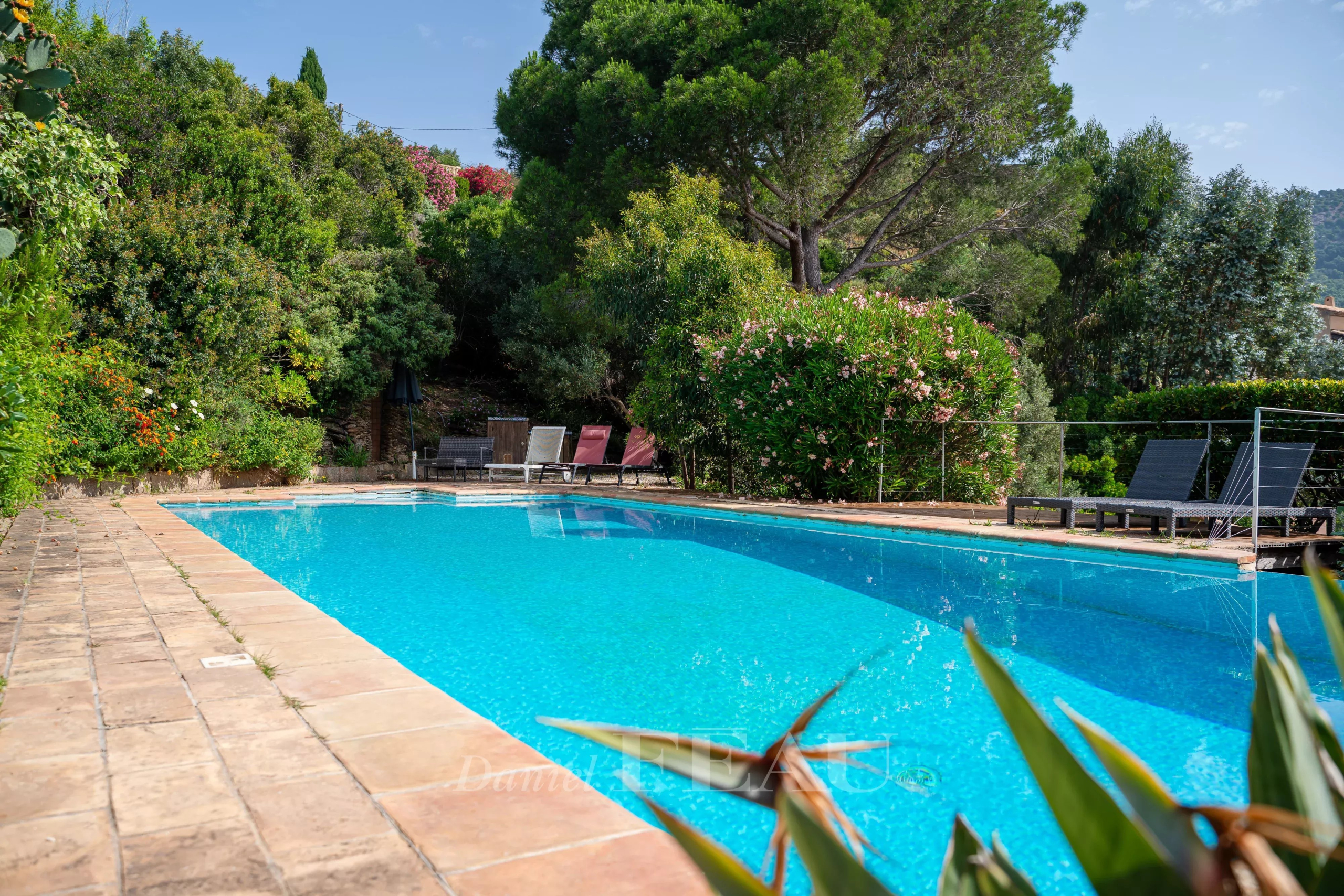 Piscine entourée de verdure dans une villa à Rayol-Canadel-sur-Mer.