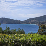 Rayol-Canadel-sur-Mer – Propriété d’exception