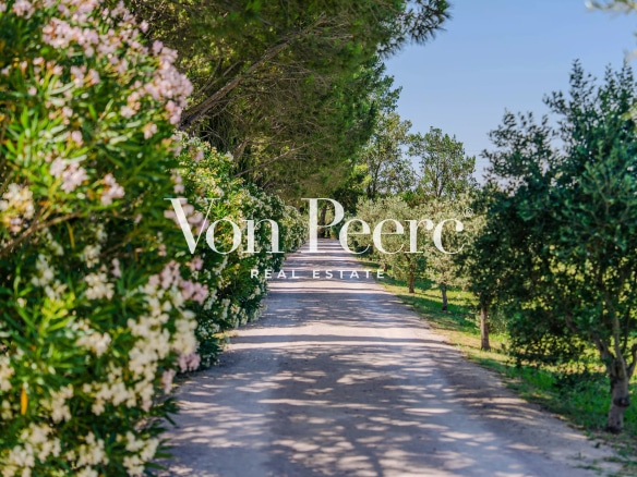 Allée bordée de végétation menant à un mas provençal rénové à Arles.