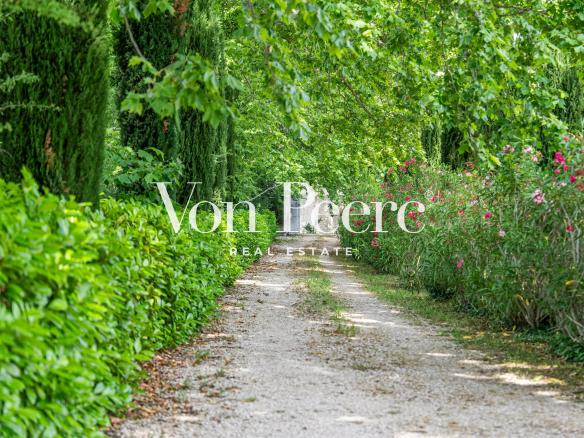 Chemin bordé d'arbres et de fleurs menant à une propriété dans un cadre verdoyant.