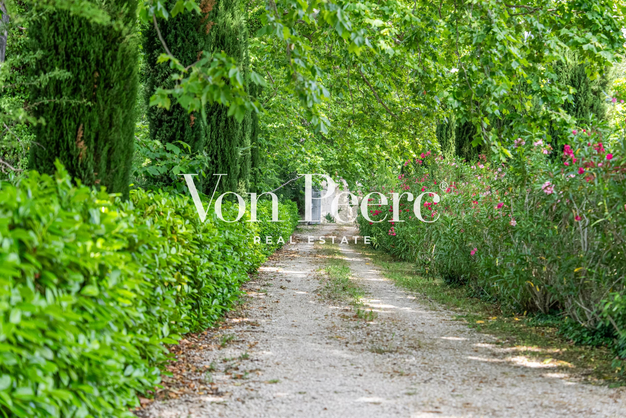 Chemin bordé d'arbres et de fleurs menant à une propriété dans un cadre verdoyant.