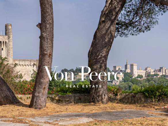 Panoramic view from a wooded area overlooking the Philippe Le Bel Tower and the Palace of the Popes in Villeneuve-lès-Avignon.