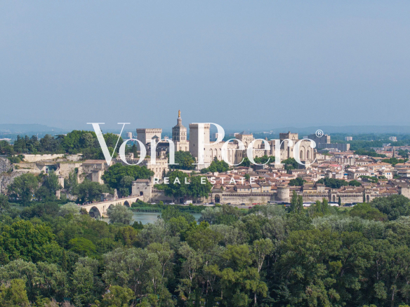 Panoramic view of Avignon, including the Palais des Papes and the Tour Philippe Le Bel, from a wooded area.