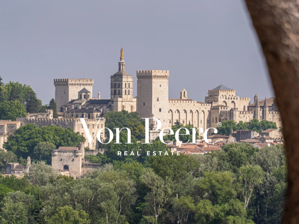 Panoramic view of the Palais des Papes and the Tour Philippe Le Bel from a plot of land in Villeneuve-lès-Avignon.