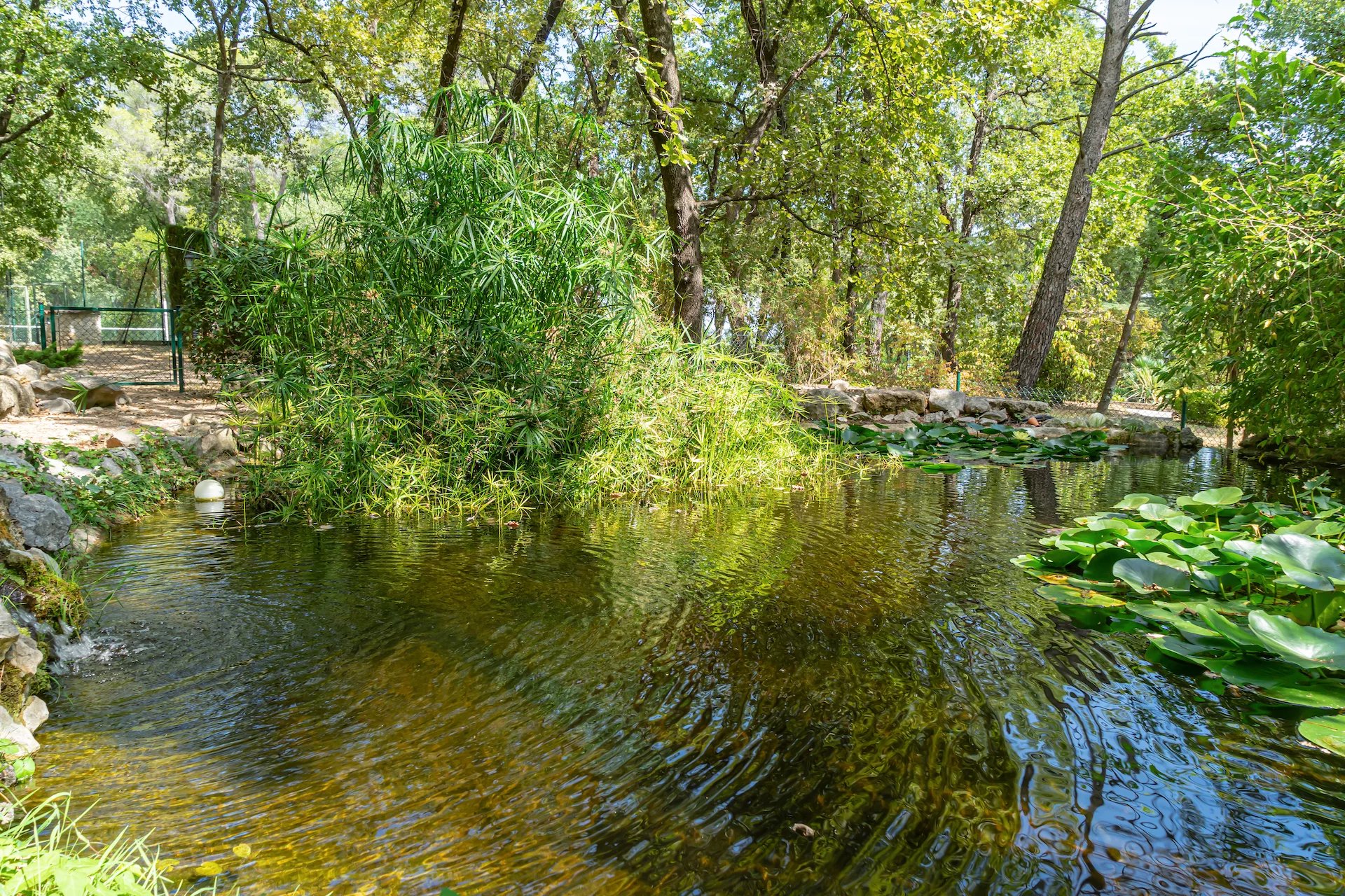 28e9d99828213bc0f4f6ecc497eaa70c_ee477cb417_1920-original