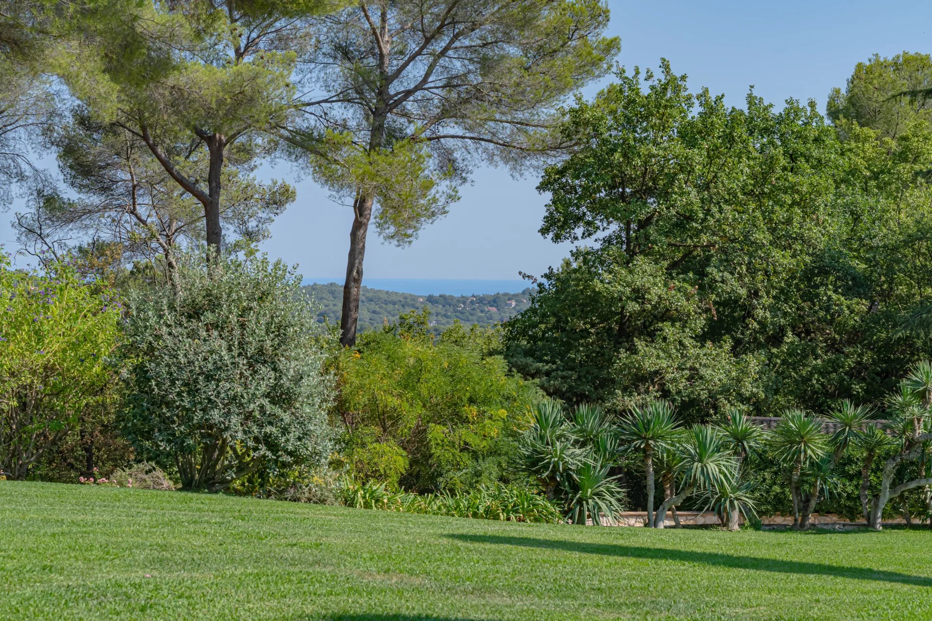 f1446d92e6423c06503dc9386492f668_296b3ddfa3_1920-original