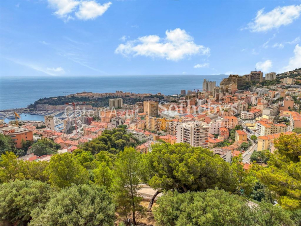 Projet de Villa de Luxe Exclusive avec Grand Espace de Stationnement et Vue Imprenable sur Monaco et