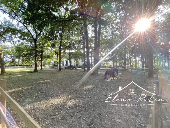 Exceptional equestrian property surrounded by forest, 9 mi