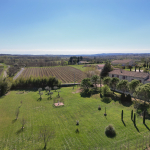 Domaine viticole de 22ha, piscine, mas provençal, gites, évè