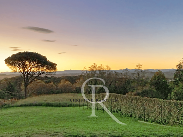 Exclusively, a contemporary house with mountain views.