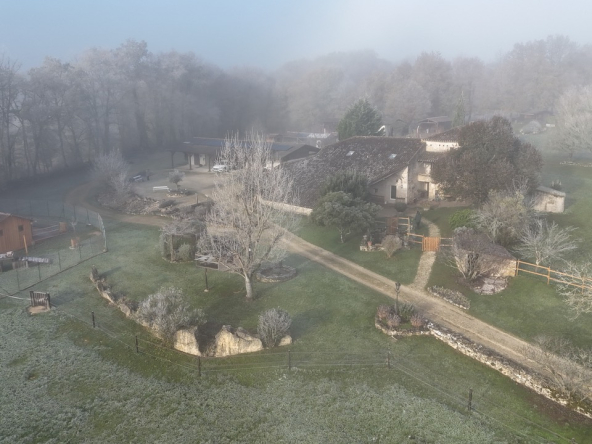 Magnificent estate with swimming pool, outbuildings and facilities