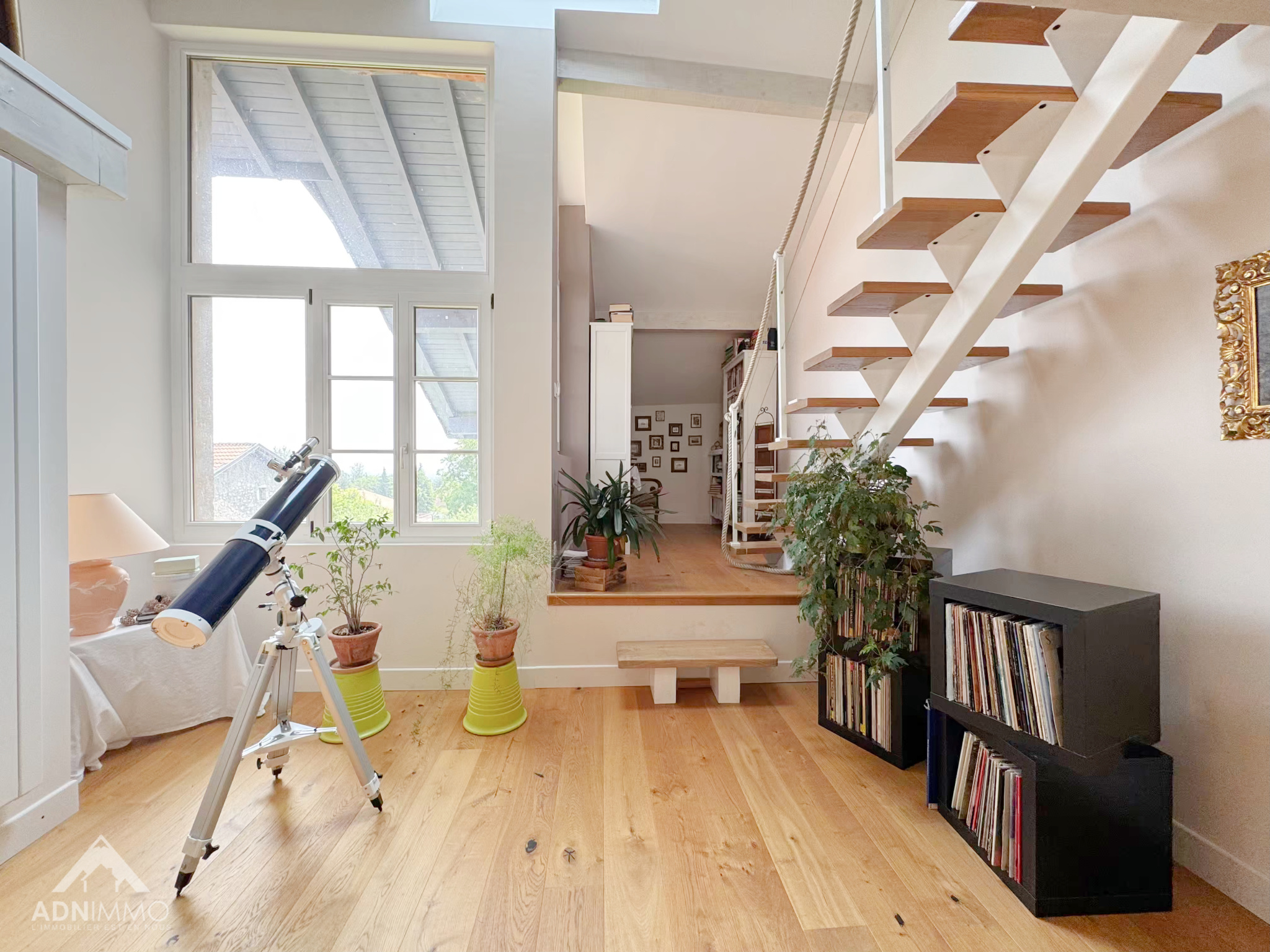 photo_e95e51a15a20dba9f86764bc025d890d