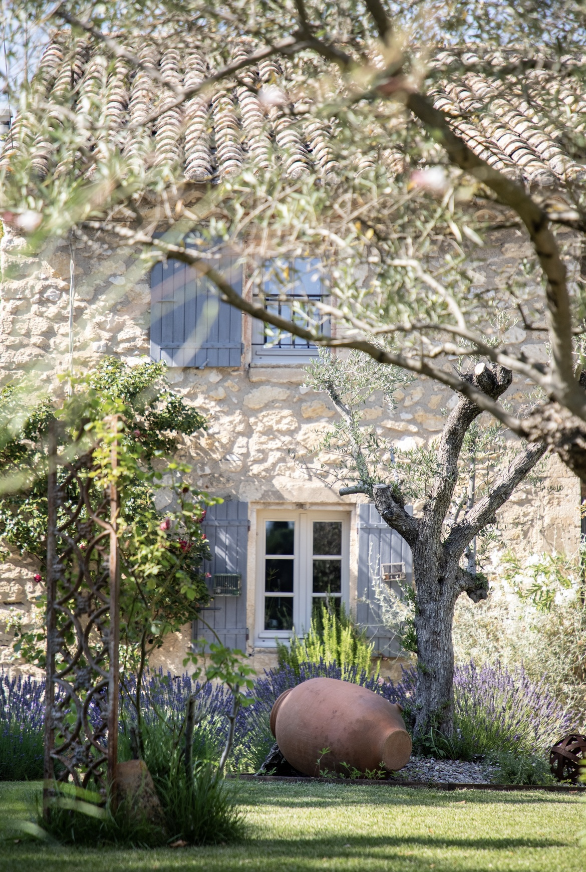 photo_e2c32525f53177fb1784389782e164da