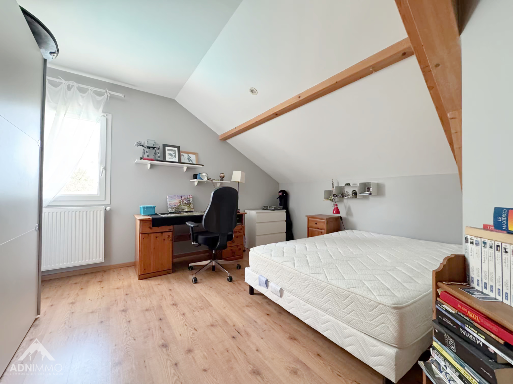 photo_5d296750d9460e64e91e294c99f03c86