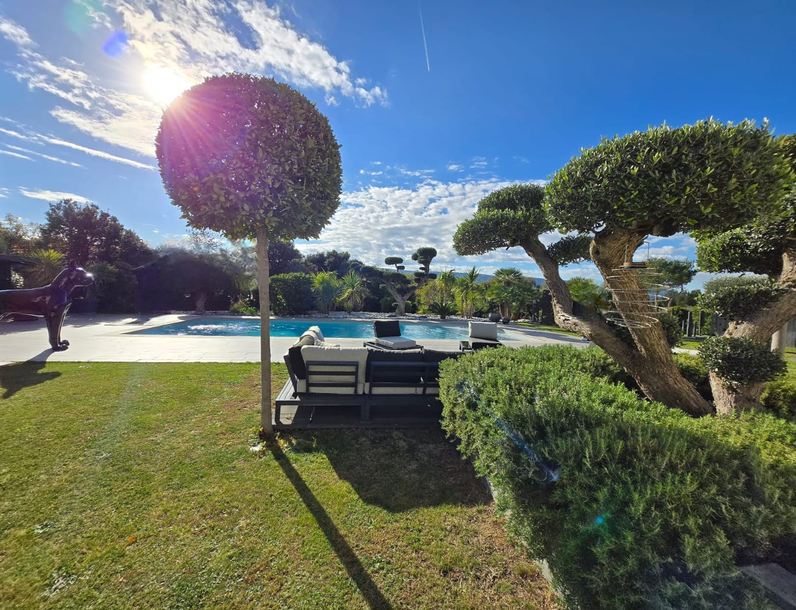 photo_6307ff4f21cb6eaedb2c6150a17f35ac