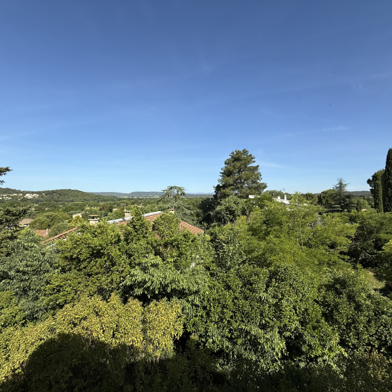 MAGNIFICENT HOTEL PROPERTY