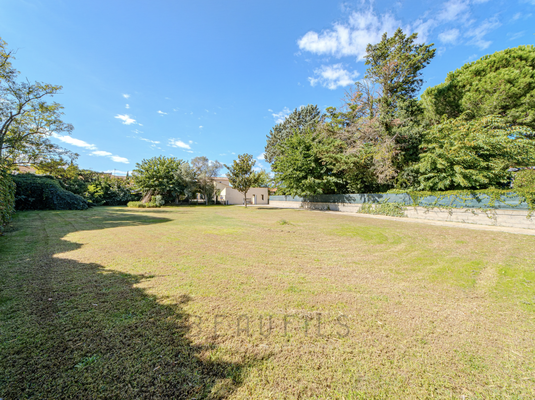 photo_55e09f0fd48dc5c7d301074de645e13e