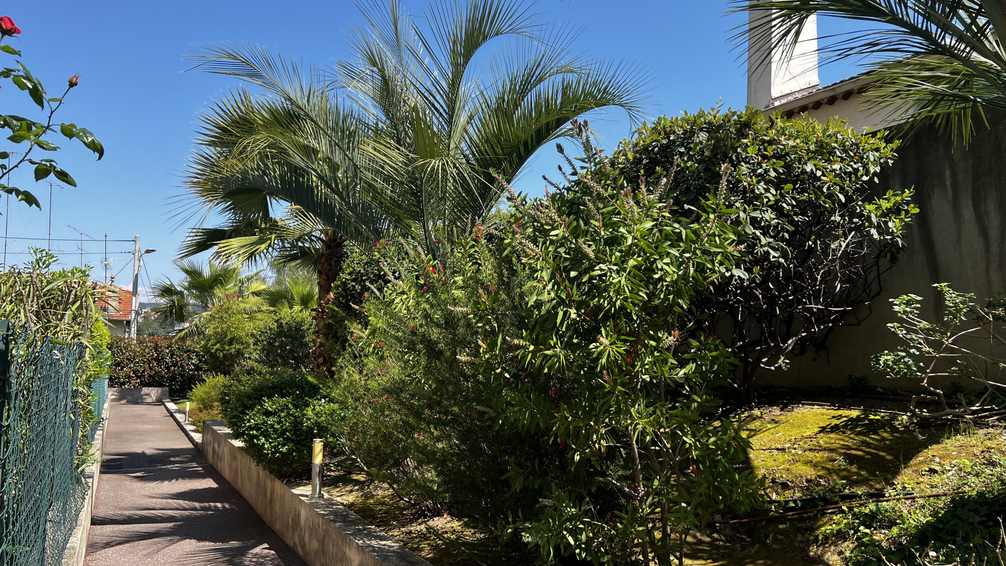 photo_2c2e4976c0aee74d75ce1b5d1a1c02b0